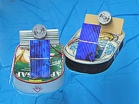 Zwei Solarboote begegnen sich im Badebecken vor dem Freilassinger Rathaus